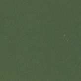 Green Check
