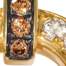 7/8 ct. t.w. Nude Diamonds™, 1/6 ct. t.w. Chocolate Diamonds® Earrings in 14k Honey Gold™