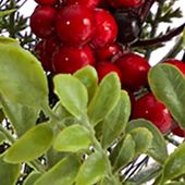 12 Inch Holiday Winter Pine and Berries Three-Piece Mason Jar Noel Table Christmas Artificial Arrangement Décor