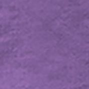 Purple Berry