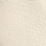 Vanilla Bean