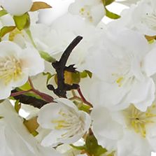 Cherry Blossom Bonsai Artificial Tree