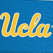 YouTheFan NCAA UCLA Bruins Game Day in the Dog House 1000pc Puzzle