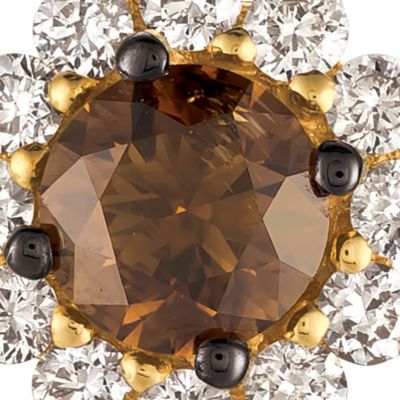 Chocolate Diamonds® and Vanilla Diamonds® Earrings in 14K Honey Gold™
