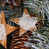 24 Inch Christmas Winter Frosted Stars and Pinecones Holiday Wreath