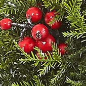 20" Cedar Berry Wreath