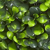 Living Wall  Indoor/Outdoor