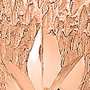 14K Two-Tone Diamond-Cut Heart with Lace Trim Post Earrings