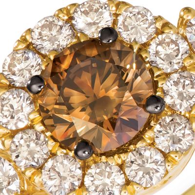  1/2 ct. t.w. Chocolate Diamonds®, 3/8 ct. t.w. Nude Diamonds™ Ring in 14k Honey Gold™