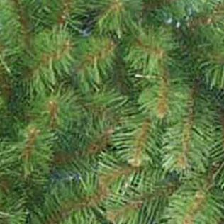 Virginia Pine Garland