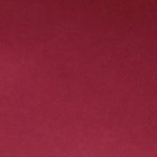 FL State Team Color