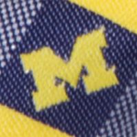 Michigan Wolverines Check Pre-tied Bow Tie