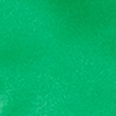 LT. GREEN