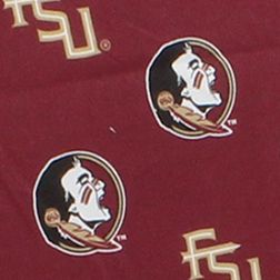 NCAA Florida State Seminoles 2 Piece Chair Cushion