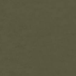 Military