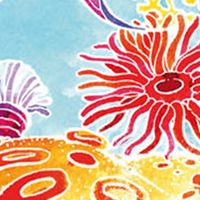 Aquarellum Large Craft Kit - Coral Reefs