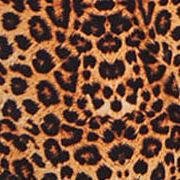 Reise Modal Leopard PJ Pant Set with Button Down Collar.