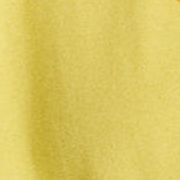 SUNFISH YELLOW