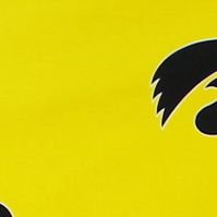 NCAA Iowa Hawkeyes Futon Cover