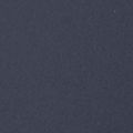 Collegiate Navy