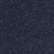 AMERICAN NAVY