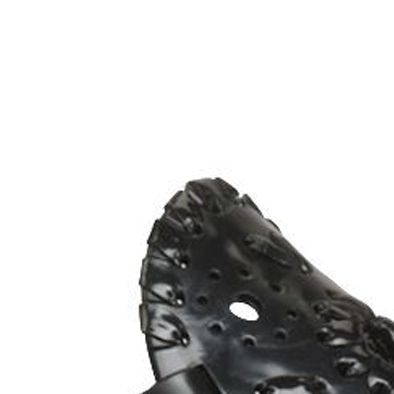 belk jack rogers jelly
