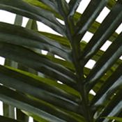 Golden Cane Palm Tree in Tower Planter