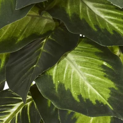 Dieffenbachia Artificial Plant in Ceramic Planter