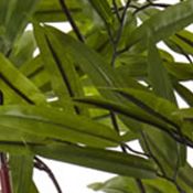 Bamboo Silk Tree with Planter