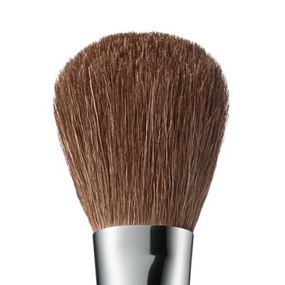 Blush Brush