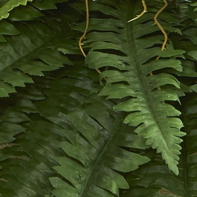 22 Inch Boston Fern Artificial Plant in Sandstone Planter