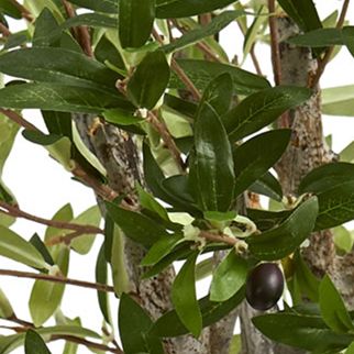 3 Foot Olive Artificial Tree in Terracotta Planter