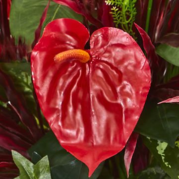 Mixed Anthurium Artificial Plant