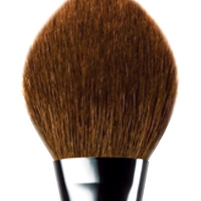 Powder Foundation Brush