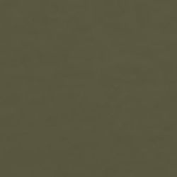 Military