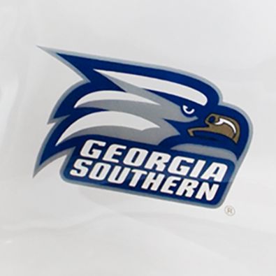 NCAA Georgia Southern University Carryall Tote