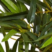 Bamboo Tree in Tower Planter