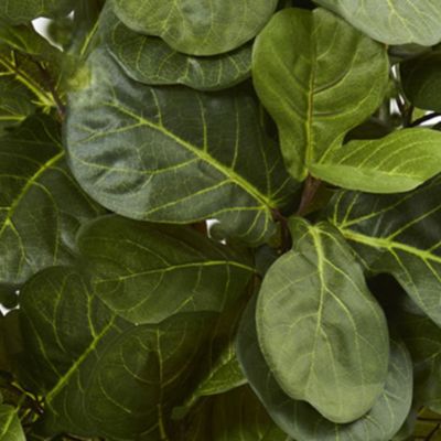 5.5 Foot Fiddle Leaf Artificial Tree in Slate Planter