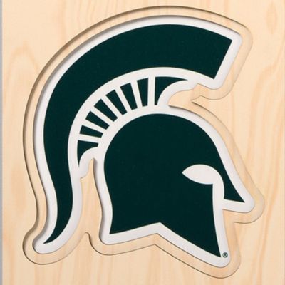 YouTheFan NCAA Michigan State Spartans 3D Stadium 8x32 Banner -  Spartan Stadium