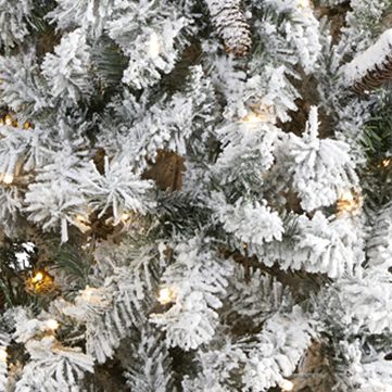 7 Foot Flocked White River Mountain Pine Artificial Christmas Tree with Pinecones and 350 LED Lights