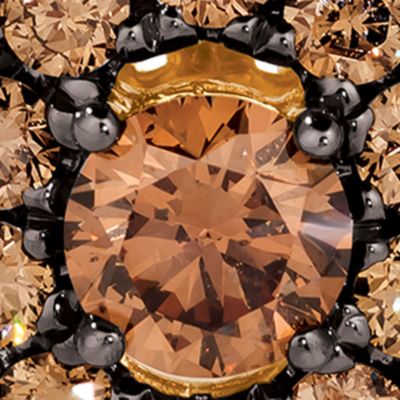 Ring with 7/8 ct. t.w. Chocolate Diamonds®, 1/3 Nude Diamonds™ 14K Honey Gold™