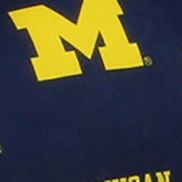 NCAA Michigan Wolverines Adirondack Chair Cushion