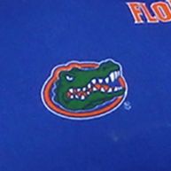 NCAA Florida Gators Adirondack Chair Cushion