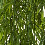 Mini Bamboo Plant in Hanging Metal Bucket