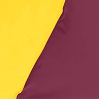 Arizona State Sun Devils NCAA AZ State Checkerboard Canopy