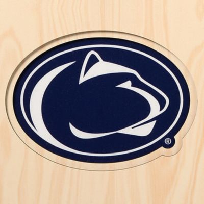 YouTheFan NCAA Penn State Nittany Lions 3D Stadium 8x32 Banner - Beaver Stadium