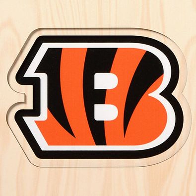 YouTheFan NFL Cincinnati Bengals 3D Stadium 8x32 Banner - Paul Brown Stadium