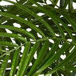 7.5-Foot Areca Palm Tree UV Resistant -Indoor/Outdoor