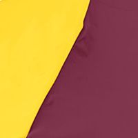 Minnesota Golden Gophers NCAA Minnesota CB Canopy