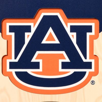 YouTheFan NCAA Auburn Tigers 3D Stadium 8x32 Banner - Hare Stadium